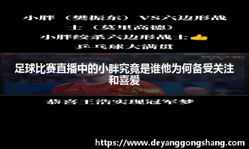 足球比赛直播中的小胖究竟是谁他为何备受关注和喜爱